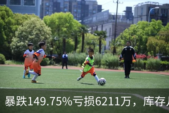 暴跌149.75%亏损6211万，库存几乎翻番！电驴界爱马仕卖不动了？